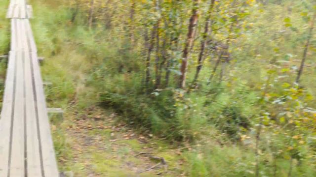 Экскурсия по Кировску от Миши Говор и дыня альденте смотреть онлайн