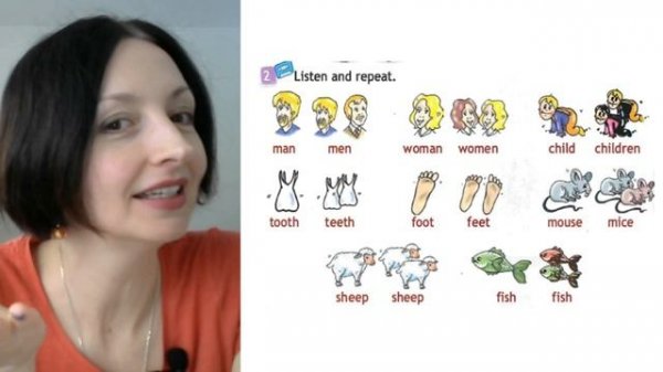 Spotlight 3 класс (Спотлайт 3) Английский в фокусе 3кл./ Урок 24 "Cows are funny!" 9b с.76-77