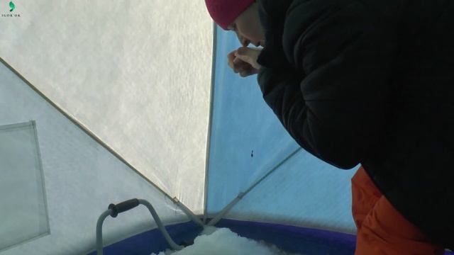 Ловись, рыбка!