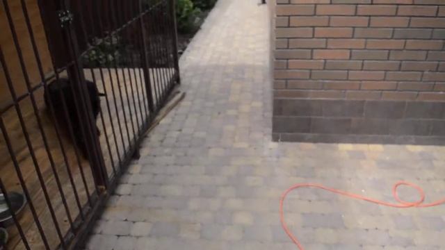 Чистка тротуарной плитки ротором в Краснодаре смотреть онлайн
