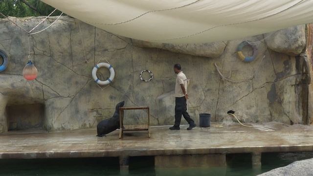 Лучший зоопарк Туниса смотреть онлайн