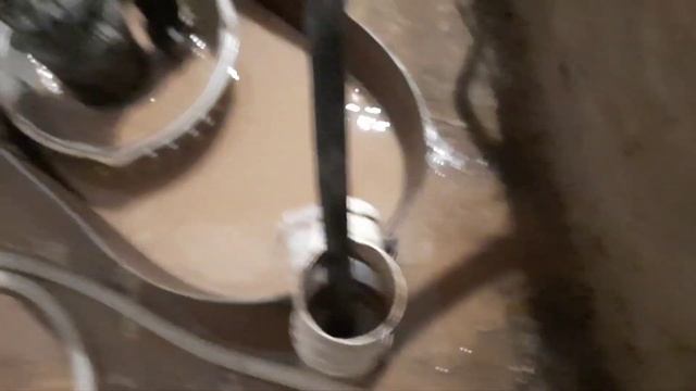 короткая абиссинка с бешенным дебетом Витебск Придвинье смотреть онлайн