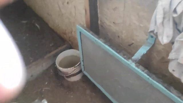 Температура в курятнике в минус 35 смотреть онлайн