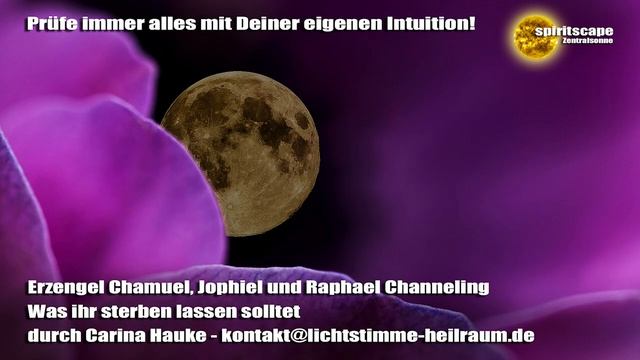 Erzengel Chamuel, Jophiel und Raphael Channeling – Carina Hauke смотреть онлайн
