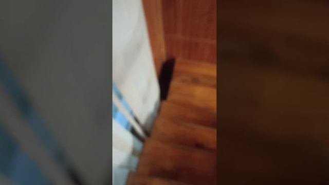 рунтур по. дому(за 900км от моего города) смотреть онлайн