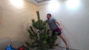 НАРЯЖАЕМ ЕЛКУ! НОВОГОДНЯЯ АТМОСФЕРА! Домашний ВЛОГ! / Виталий Зеленый