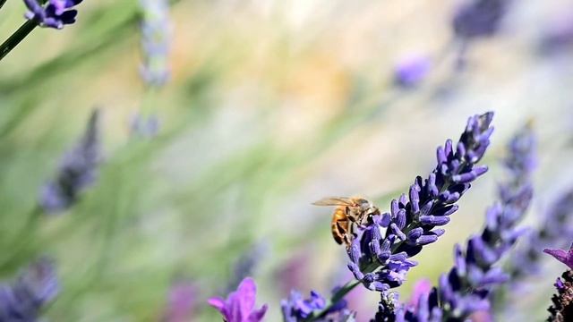 Медитация Мой идеальный день. смотреть онлайн