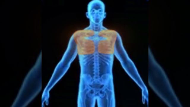 Хочешь держать себя в форме? смотреть онлайн
