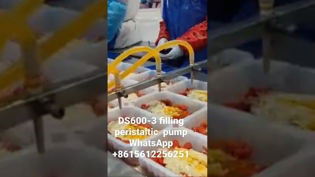 Fast food sacue filling peristaltic pump #leadfluidpumps #dosingpumps #peristalticpump смотреть онлайн