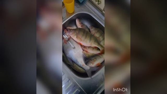 зимняя рыбалка.щучинский район) смотреть онлайн