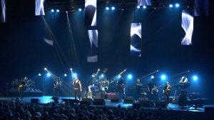 Максим Леонидов Питерские коты