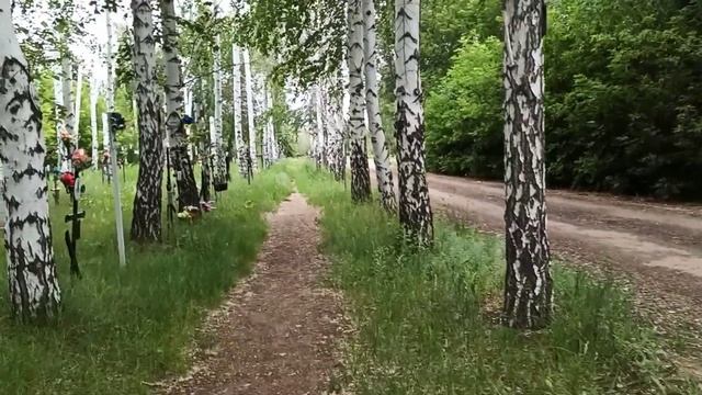 Хорошее настроение. Зауральная роща, Оренбург. Прогулка, природа, цветы. 4 июня 2021. Краски лета! смотреть онлайн