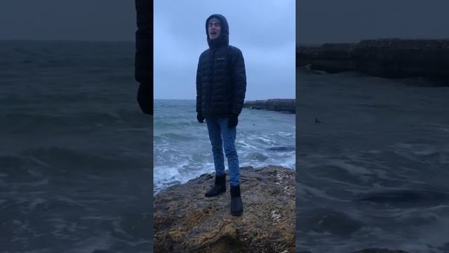 Сергей Есенин «Жизнь обман с чарующей тоскою» читает В.Боднарук смотреть онлайн