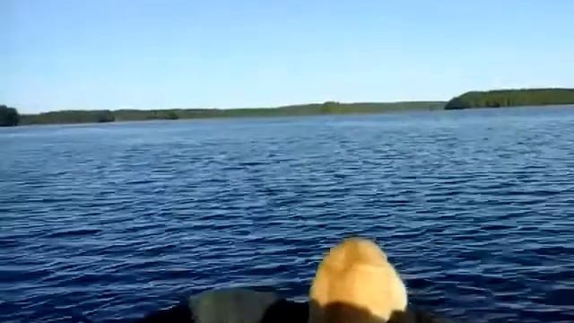 Флагман 350 + Mercury ME F15M смотреть онлайн