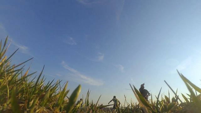 Новая Русь 2020