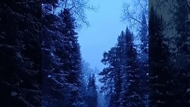 Субботинг,Красноярские столбы. Заповедник. Утренняя пробежка. смотреть онлайн