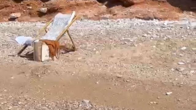 Два коротких стиха: „Бог утешитель“ и „в своё время“ смотреть онлайн