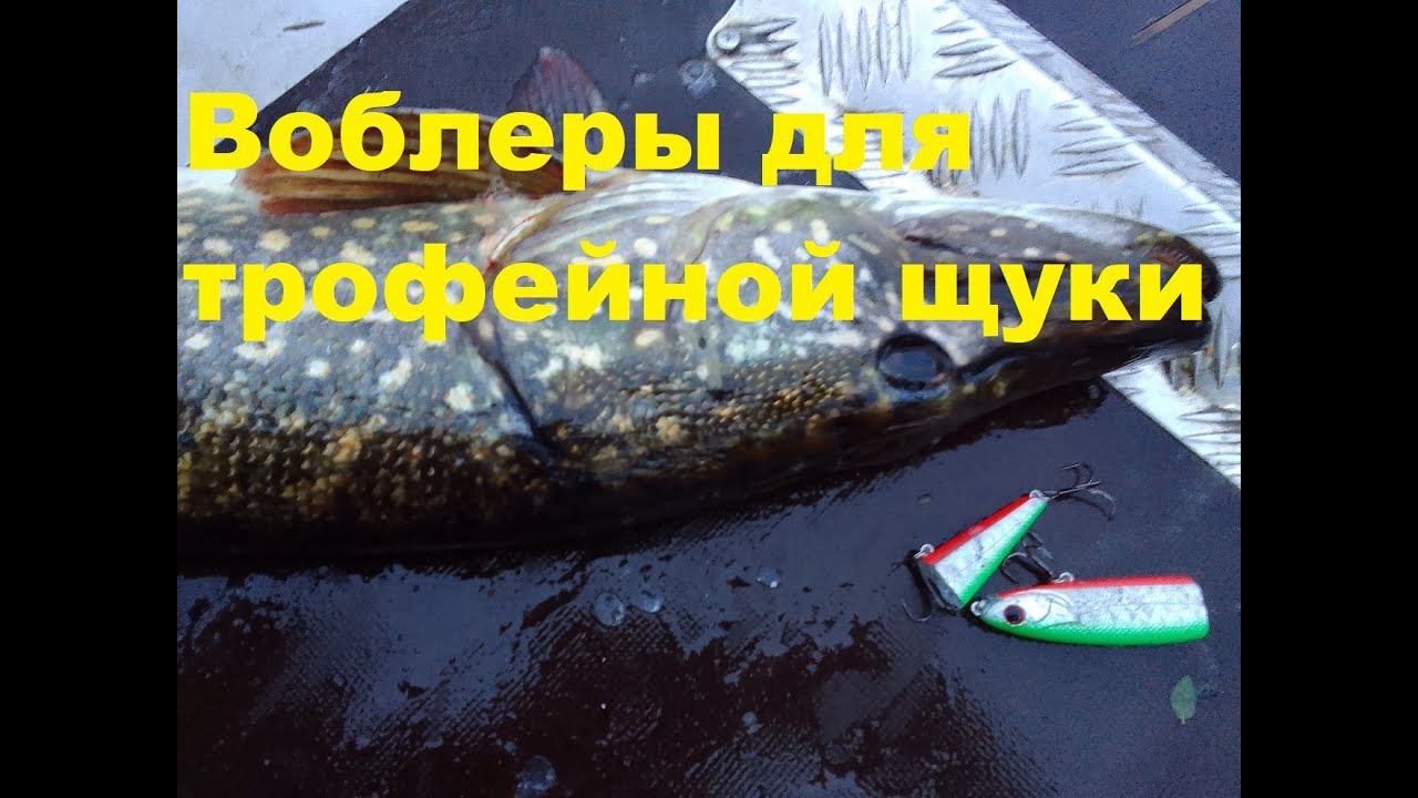Твичинг Воблеры для крупной щуки смотреть онлайн