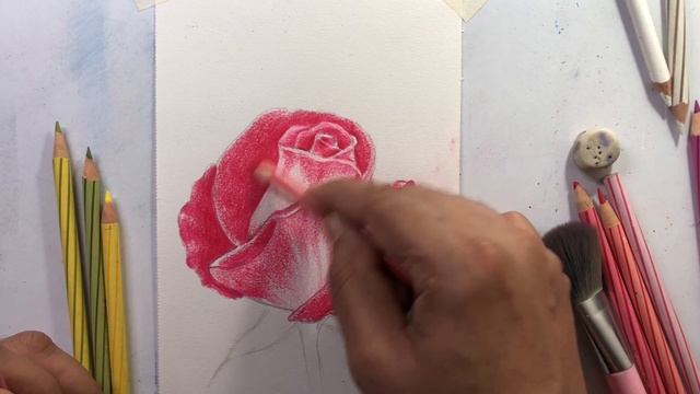Rose Drawing with Color Pencil for Beginners | How to Draw Realistic | Color Pencil Blending Method смотреть онлайн