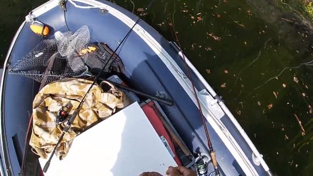 Изучение новых приманок. смотреть онлайн