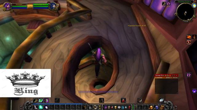 Classic WoW: Druid Bear Form Quest Walkthrough смотреть онлайн
