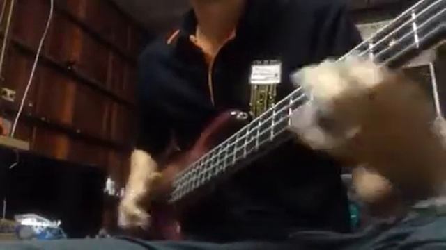 Test Fender J-P Bass (อัดอยู่ซีดีตกร่องซะงั้น -.-") смотреть онлайн