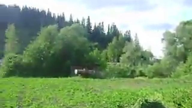 Непряха смотреть онлайн