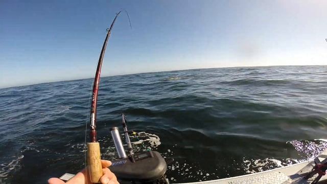 Halfmoon Bay Fishing. 6/18/20. Catch a Huge Ocean Sunfish. смотреть онлайн