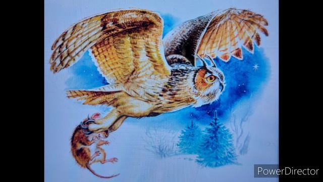 В. Бианки "Мышонок Пик" Ужасное пробуждение - Горе-музыкант смотреть онлайн