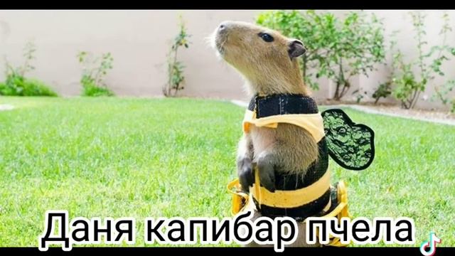 какой ти капибара 2часть смотреть онлайн