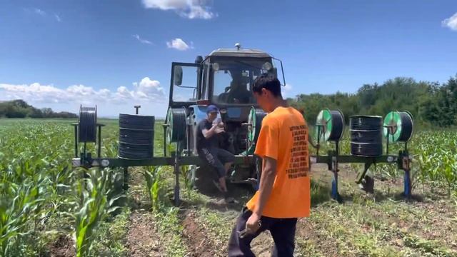 Полив капельным орошением картофеля смотреть онлайн