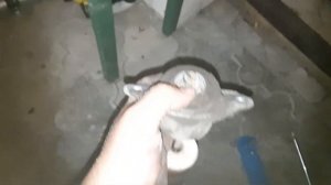 Замена задних стоек Шкода Рапид и Фольцваген Поло.