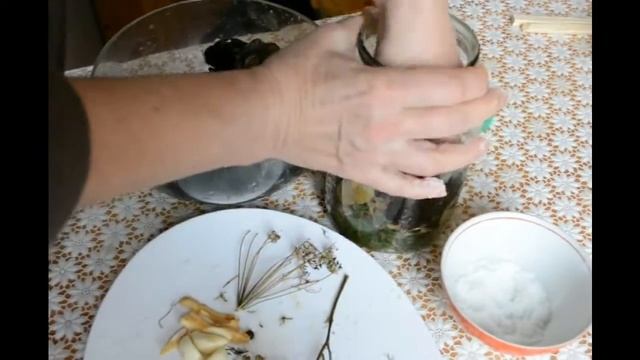 Вегетарианские Блюда и Гастрономия