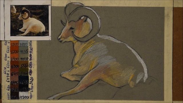 DERWENT Drawing Color Pencils How To Draw A White Animal смотреть онлайн