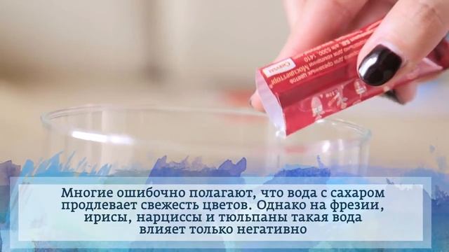 Как дольше сохранить букет | FloStyle.ru - Новосибирск смотреть онлайн