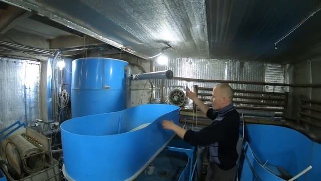 новая система смотреть онлайн