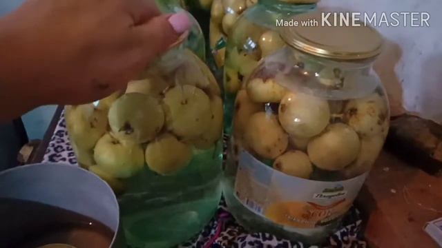 Советы по Уходу за Здоровьем