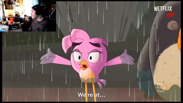 Angry Birds Summer Madness Trailer Reactions! смотреть онлайн