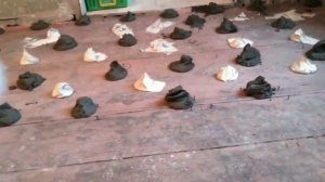 Как выровнять деревянный  пол в старом доме? Надёжно Выровнять пол из Досок. Пошаговая инструкция