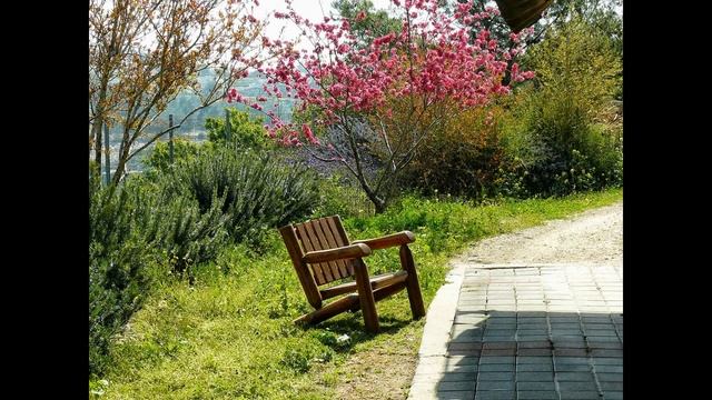 3 Fotos, die ich selber augenommen habe [VA für Oriphiel] смотреть онлайн