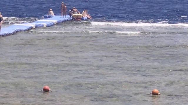 Queen Sharm Resort 4*  2021 обзор пляжа и пантона .