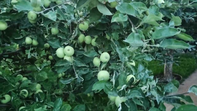 Строительные Карты