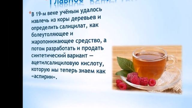 Онлайн-рубрика «Зелёная аптека». ? смотреть онлайн