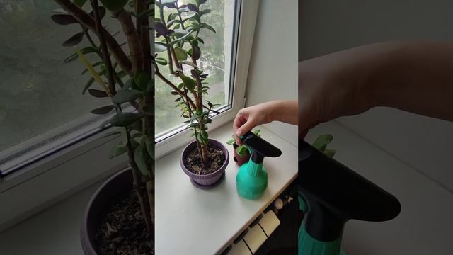 Опрыскиватель GS8201 смотреть онлайн