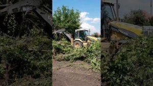 Сколько стоит расчистить участок ?