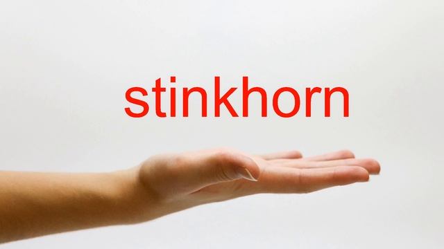 How to Pronounce stinkhorn - American English смотреть онлайн