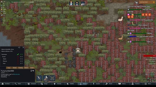 Cooking on the Rim with Quish! Rimworld: Episode 16 смотреть онлайн