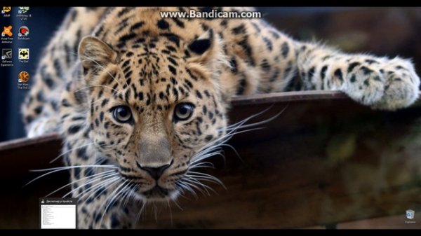 Проблемы с Драйверами Nvidia на Windows 10