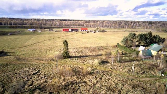 Новгородская обл., д.Любцы. Октябрь 2021г. смотреть онлайн