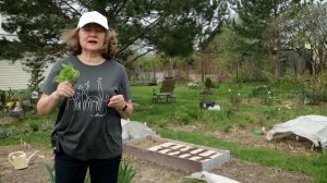 360_Катран. Природный стимулятор роста.